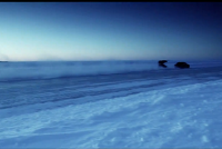 Daylight Film Production