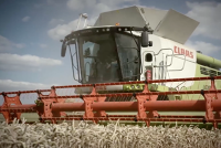 Daylight Film Production