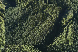 Daylight Film Production