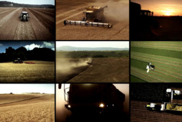 Daylight Film Production